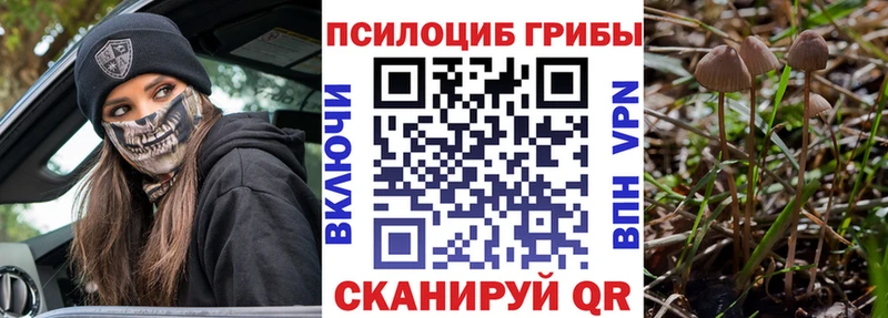 Псилоцибиновые грибы GOLDEN TEACHER  магазин продажи наркотиков  Сердобск 
