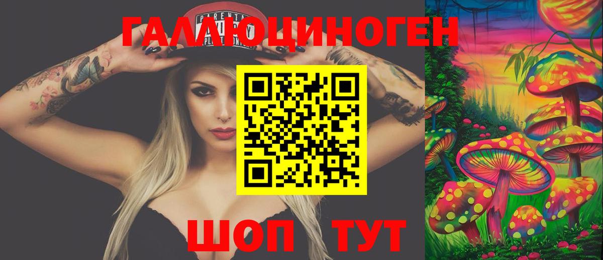 Галлюциногенные грибы Psilocybe Сердобск