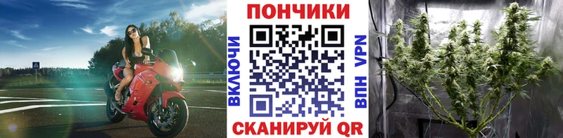 Канабис Bruce Banner  Сердобск 